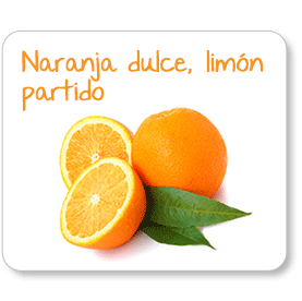 Naranja dulce, limón partido …toronjas y limas, todas ellas son cítricos. Aprende por qué.