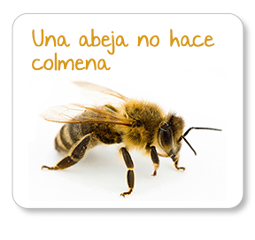 Una abeja no hace colmena. La miel, la cera y las colmenas... todo es fruto de las trabajadoras abejas.