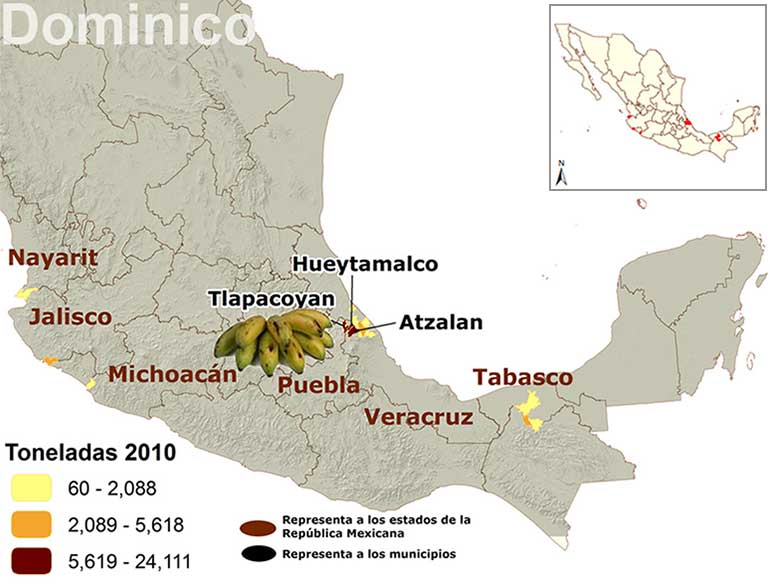 Mapa de los principales municipios productores de plátano dominico