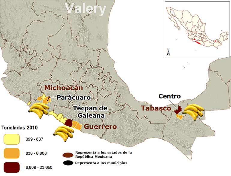 Mapa de los principales municipios productores de plátano valery