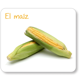 El maíz. ¿Cómo es este cultivo, también mexicano, cómo se expandió al mundo, y qué otros usos tiene además de servir para hacer tortillas?