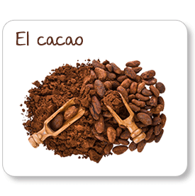 El cacao. Te invitamos a poner una fábrica de chocolate. Para ello te decimos cómo es que el cacao se transforma en chocolate...